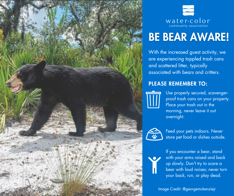 Graphic with image of a Florida bear and tips for encountering bears