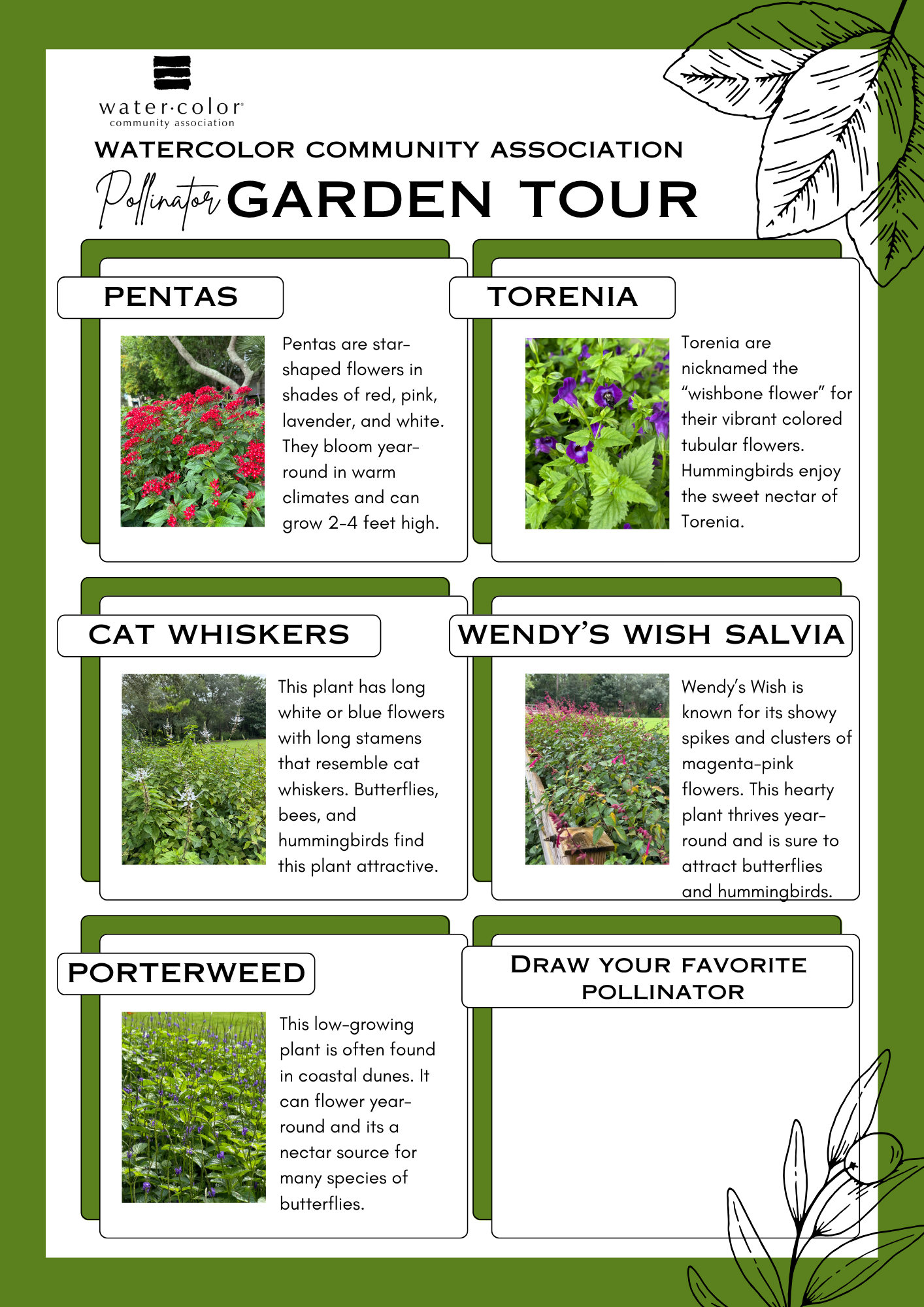 WaterColorColor Garden Tour Informational Flyer (1)