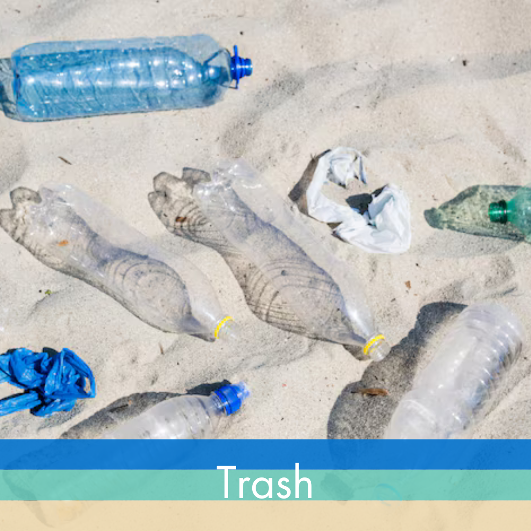 Trash litter on beach